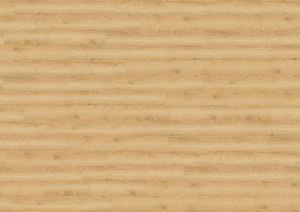 WINE 800 wood Dub Wheat golden DLC00080