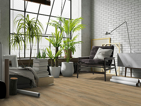 VEPO Dub barca 15781-08