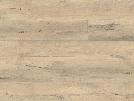EXPERTO LVT 55 Dub sevilla 6179-2