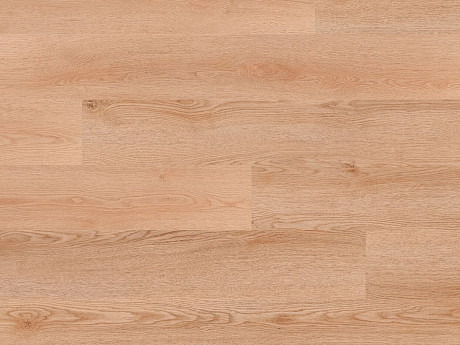 FLOOR FOREVER Divino click rigid Dub iris 84227