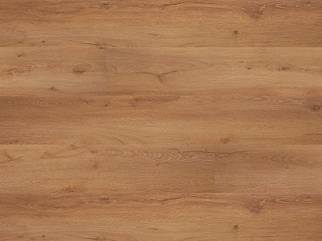 FLOOR FOREVER Grandissimo plus click rigid Dub axinit 3026