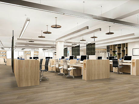 CANADIAN DESIGN Dry back canadian professional Dub ottawa 8594187731601