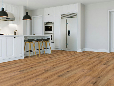 CANADIAN DESIGN Dry back canadian professional Dub canmore 8594187731663