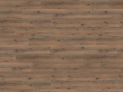 WINE 500 XXL Strong oak darkbrown LA177XXLV4