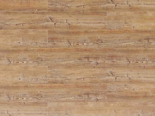 WICANDERS Hydrocork Arcadian rye pine 80002767