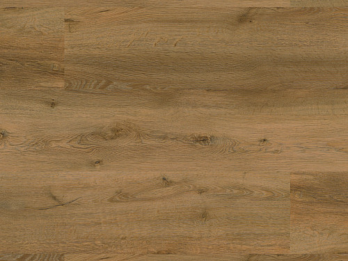 FLOOR FOREVER Authentic oak Dub cisársky 1040