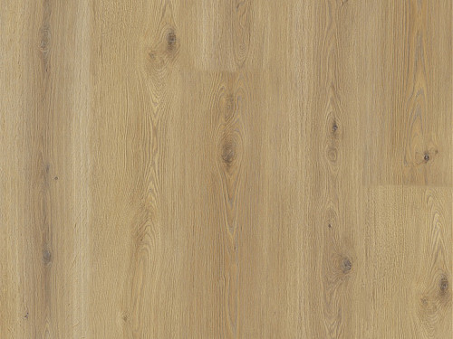 EXPERTO LVT 55 Dub calle 8196L-001