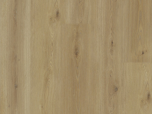 EXPERTO LVT 55 Dub citi 8196L-005