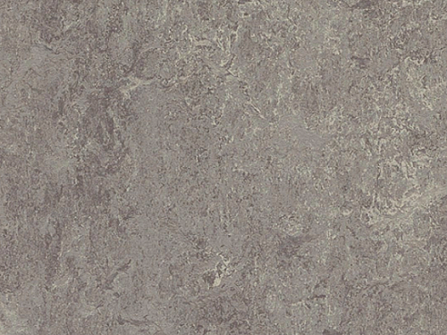 FORBO Marmoleum marbled real Eiger 2629